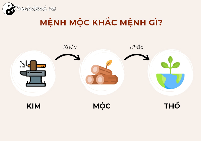 Mộc Khắc Thổ: Hiểu Đúng Để Hóa Giải Hợp Lý