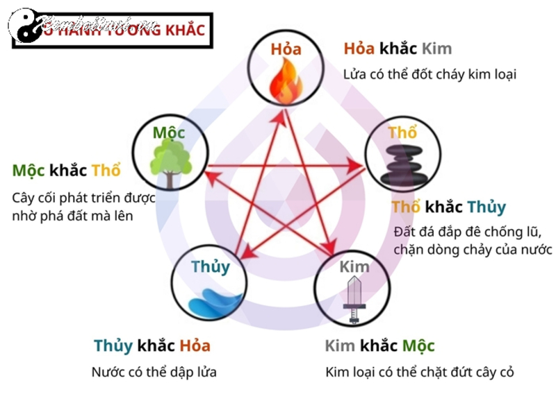 Mộc Khắc Thổ: Hiểu Đúng Để Hóa Giải Hợp Lý