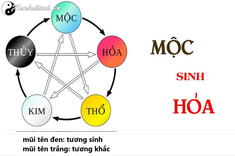 Mộc Sinh Hỏa: Quy Luật Tương Sinh Trong Ngũ Hành