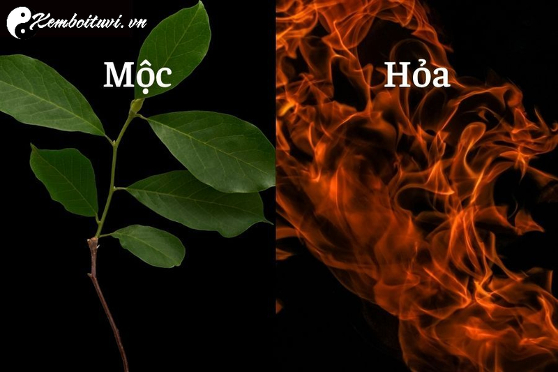 Mộc Sinh Hỏa: Quy Luật Tương Sinh Trong Ngũ Hành