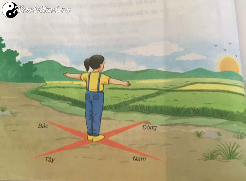 Nhà - Đất Tương Xứng Nhau: Bí Quyết Hài Hòa Trong Phong Thủy