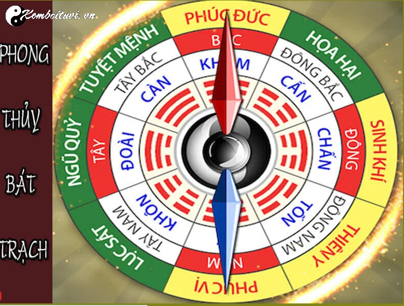 Nhà Mệnh Tốn: Bí Mật Phong Thủy Cho Người Sinh Năm Tốn