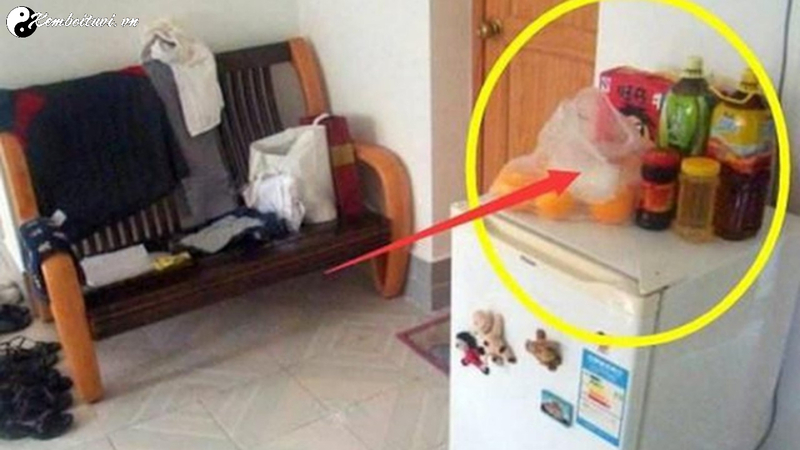 Những Đồ Đại Kỵ Không Nên Đặt Trên Nóc Tủ Lạnh