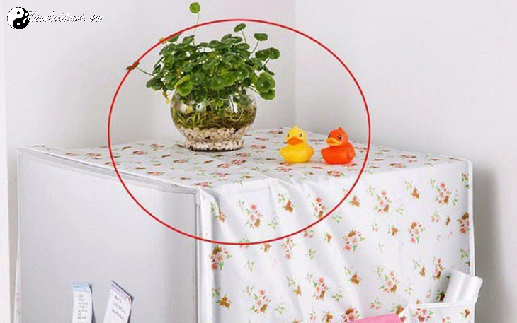 Những Đồ Đại Kỵ Không Nên Đặt Trên Nóc Tủ Lạnh