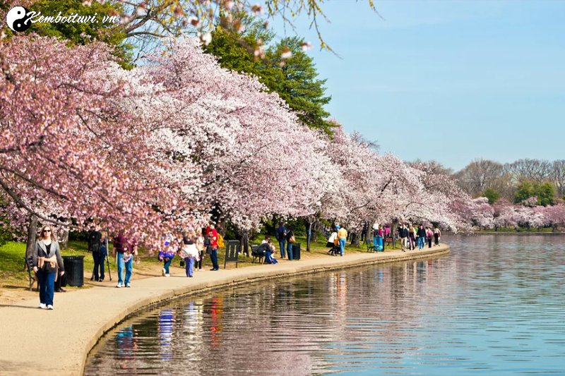 Lễ Hội M&ugrave;a Xu&acirc;n Tr&ecirc;n Khắp Thế Giới &ndash; Sắc M&agrave;u Văn H&oacute;a To&agrave;n Cầu