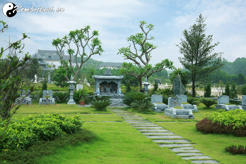 Những Lưu Ý Phong Thủy Âm Trạch Khi Trồng Cây Ở Mộ