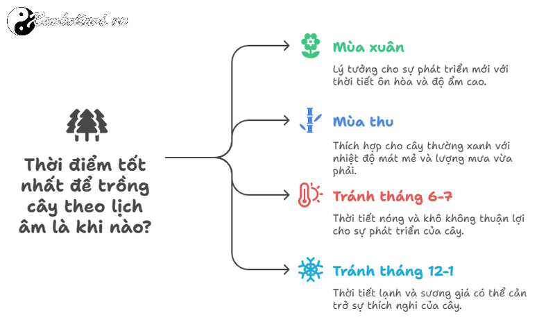 Những Lưu &Yacute; Phong Thủy &Acirc;m Trạch Khi Trồng C&acirc;y Ở Mộ