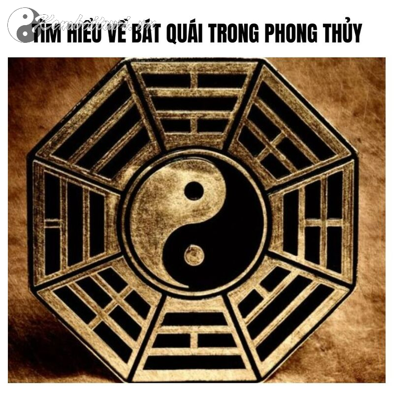 Khám Phá Bát Quái: Bí Mật Tám Quẻ và Vai Trò Trong Phong Thủy