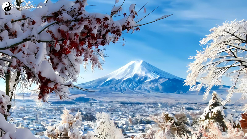 Phong Thủy Phòng Ngủ Mùa Đông - Bí Quyết Hài Hòa Năng Lượng Và Sức Khỏe