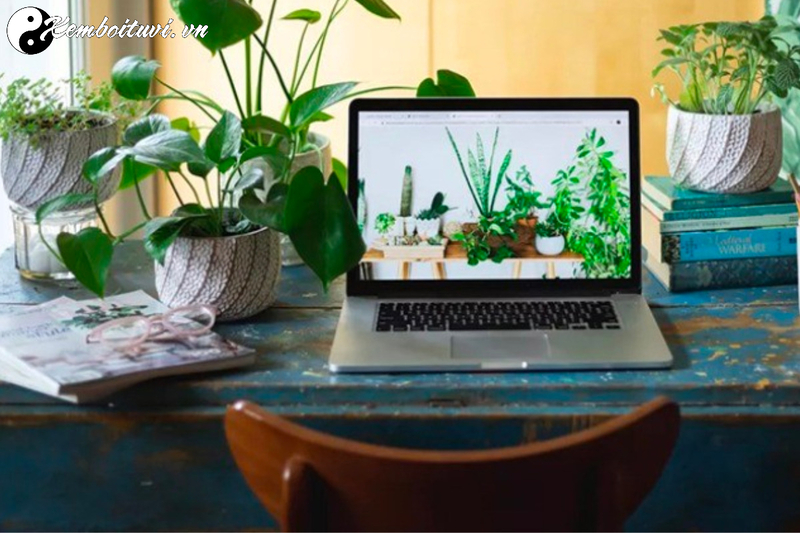 Phong Thủy Trong Kiến Trúc Bền Vững Và Nhà Ở Xanh: Hướng Tới Không Gian Sống Hài Hòa