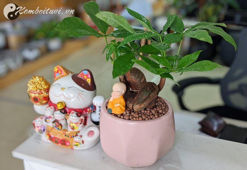 Vật Phẩm Phong Thủy Giúp Kinh Doanh Hút Tài Lộc – 99% Chủ Doanh Nghiệp Chưa Biết!