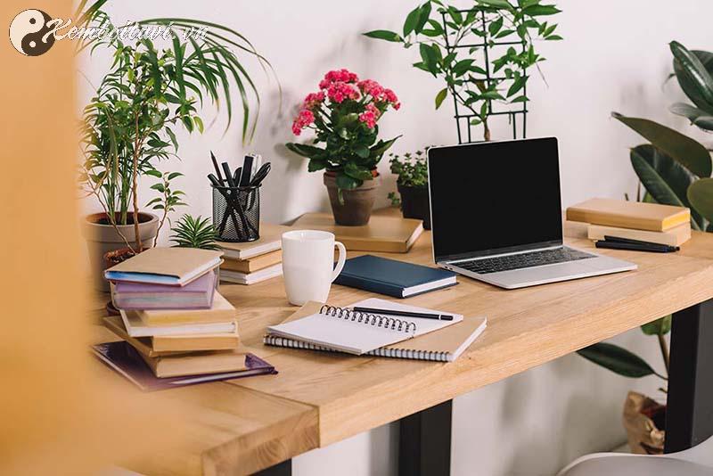 7 Cách Bố Trí Cây Cảnh Trong Văn Phòng Mang Tài Lộc Tức Thì - Cách Số 5 Sẽ Làm Bạn Ngạc Nhiên!