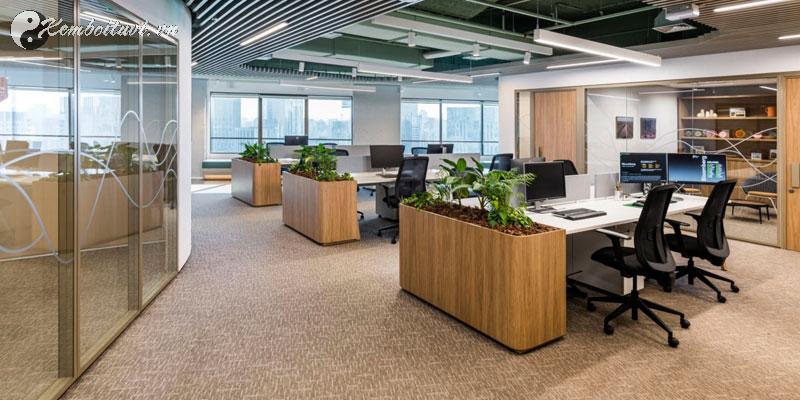 10 Lỗi Phong Thủy Văn Phòng Đang Âm Thầm Hủy Hoại Sự Nghiệp Của Bạn