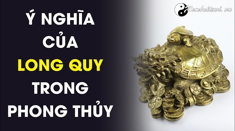 y-nghia-cong-dung-khi-dat-mua-va-su-dung-long-quy