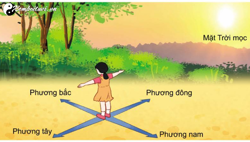 Phương Pháp Sử Dụng La Bàn Trong Phong Thủy: Bí Quyết Định Hướng Chuẩn Xác