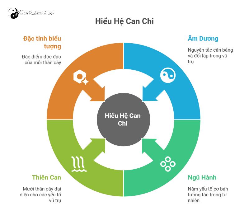 Hệ Can Chi: Nền Tảng Quan Trọng Trong Kinh Dịch