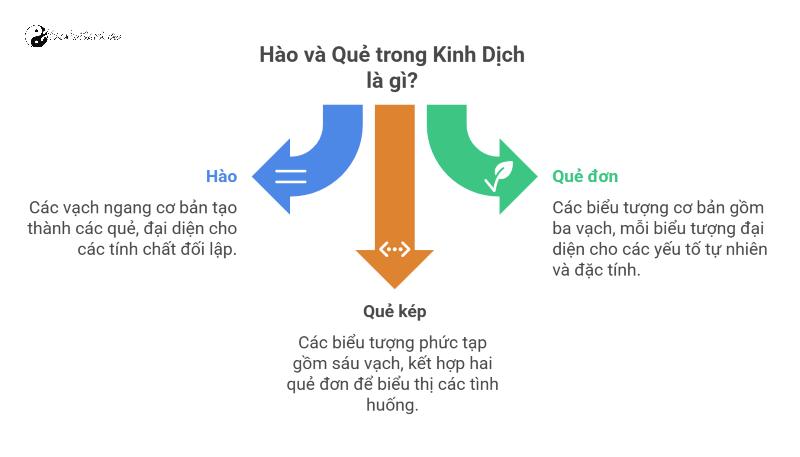 Hào và Quẻ