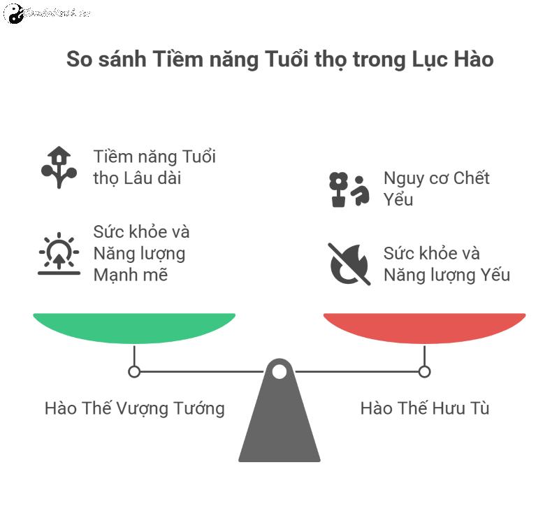 Thọ Nguyên - Nguyên tắc và Phân tích tuổi thọ trong Lục Hào