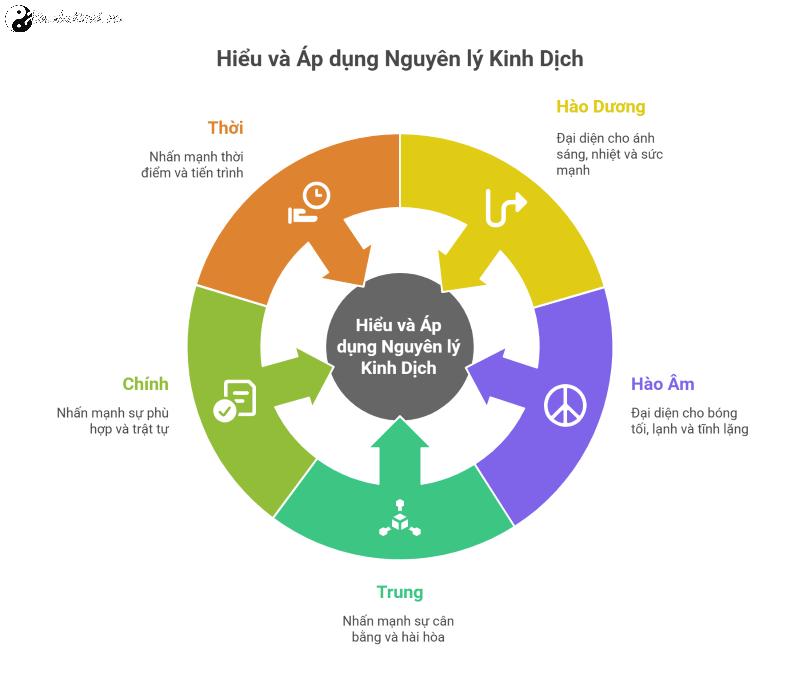 Ý nghĩa các hào trong Kinh Dịch: Cấu trúc, Triết lý và Ứng dụng