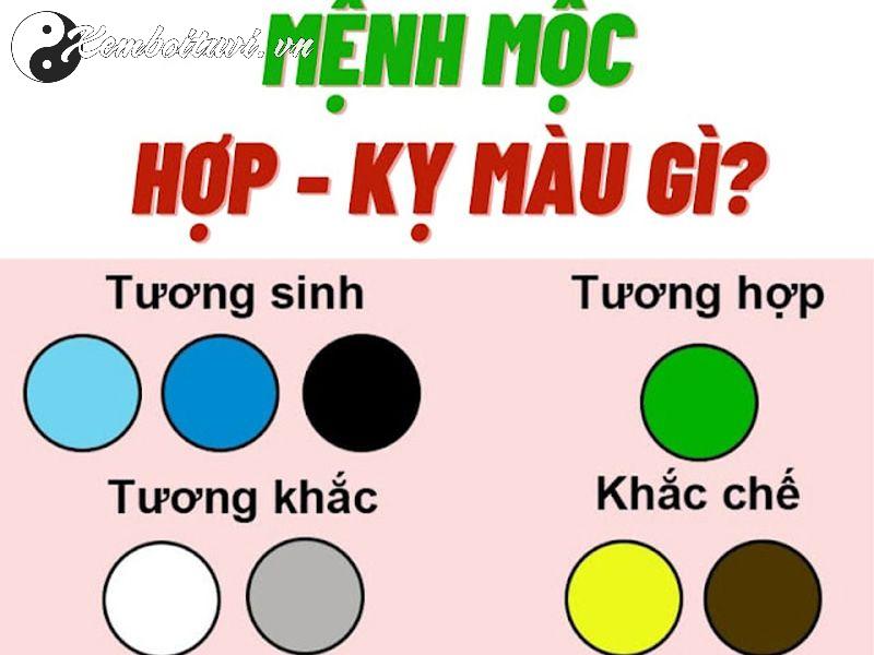 Khám Phá Bí Mật: Sinh Năm 1950 Hợp Màu Gì Để Tăng May Mắn Và Tài Lộc?