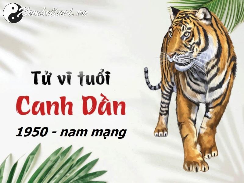 Khám Phá Bí Mật: Sinh Năm 1950 Hợp Màu Gì Để Tăng May Mắn Và Tài Lộc?