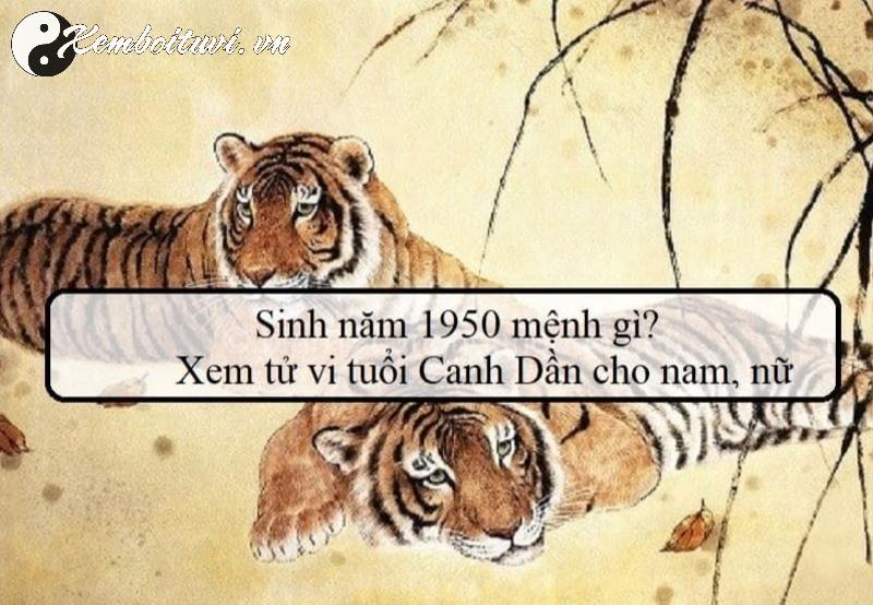 Sinh Năm 1950 Mệnh Gì? Hé Lộ Bí Mật Về Mệnh Tùng Bách Mộc Và Phong Thủy Độc Đáo