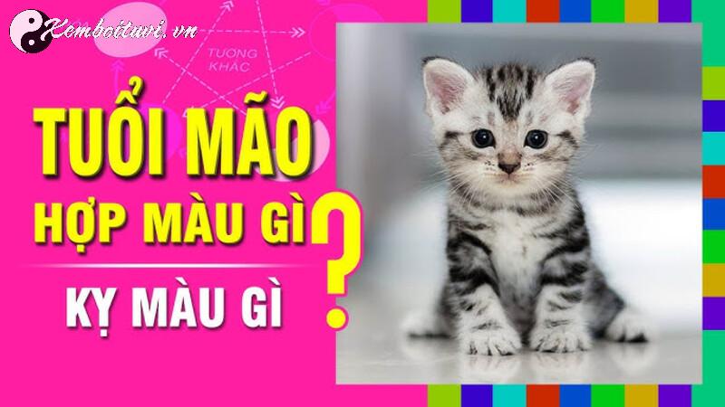 Bí Mật Màu Sắc May Mắn Cho Người Sinh Năm 1951: Bạn Đã Biết Chưa