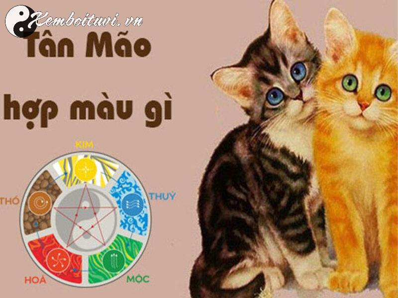 Sinh năm 1951 mệnh gì? Hé lộ bí mật tử vi và phong thủy tuổi Tân Mão