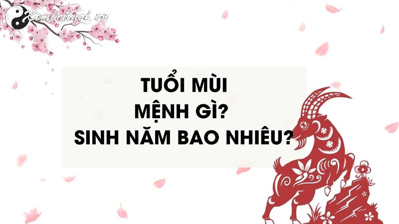 Sinh Năm 1955 Ất Mùi Mệnh Gì? Vận Mệnh Tuổi Dê Có Gì Đặc Biệt