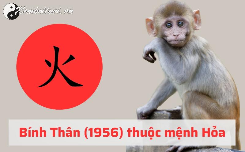 Sinh Năm 1956: Bật Mí Hướng Nhà Đón Tài Lộc Và Tránh Xui Xẻo