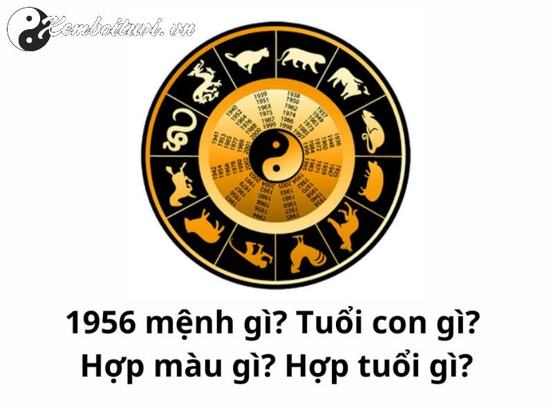 Sinh Năm 1956 Bính Thân Mệnh Gì? Bí Ẩn Tuổi Khỉ Trong Phong Thủy