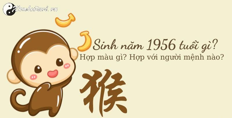 Sinh Năm 1956 Bính Thân Mệnh Gì? Bí Ẩn Tuổi Khỉ Trong Phong Thủy