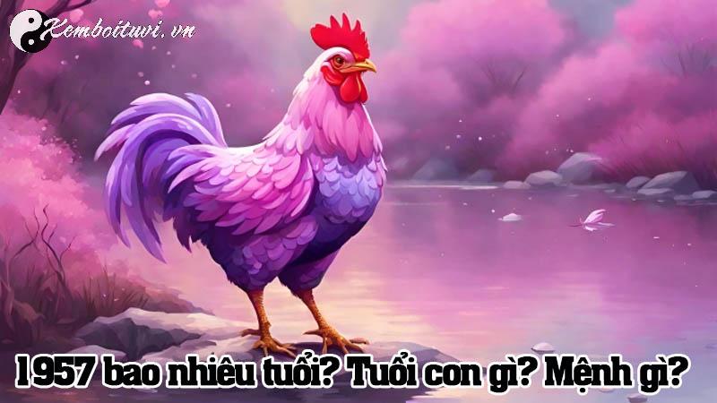 Sinh Năm 1957 Đinh Dậu Mệnh Gì? Khám Phá Ý Nghĩa Tuổi Gà