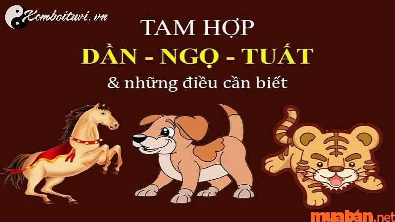 Khám Phá Hướng Nhà Tốt Nhất Cho Người Sinh Năm 1958: Bí Quyết Đón Lộc Tài!