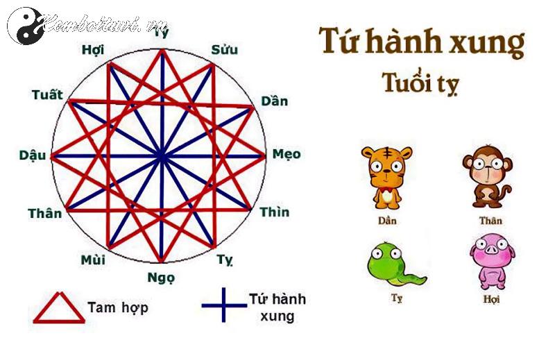 Sinh Năm 1959 Kỷ Hợi Mệnh Gì? Bí Mật Tuổi Hợi Trong Phong Thủy