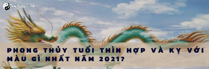 Khám Phá Bí Mật: Người Sinh Năm 1964 Hợp Màu Gì Để Thu Hút May Mắn