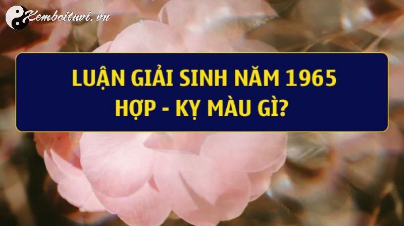 Màu Sắc Hợp Mệnh Cho Người Sinh Năm 1965: Bí Quyết Thu Hút Tài Lộc và Thịnh Vượng