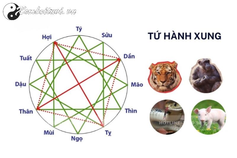 Sinh Năm 1965 Ất Tỵ Mệnh Gì? Vận Mệnh Tuổi Rắn Có Gì Đặc Biệt