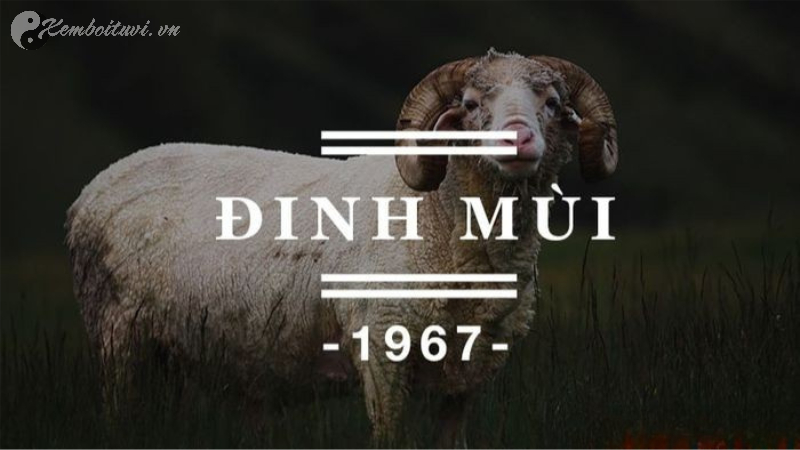 Sinh năm 1967 mệnh gì? Phân tích đầy đủ về phong thủy tuổi Đinh Mùi
