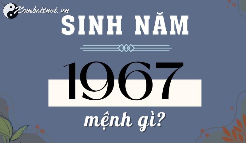 Sinh Năm 1967 Đinh Mùi Mệnh Gì? Đặc Trưng Tuổi Dê Trong Phong Thủy