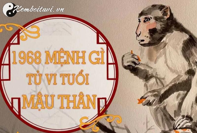 Sinh Năm 1968 Hợp Màu Gì? Bí Mật Phong Thủy Giúp Bạn Thịnh Vượng Cả Đời