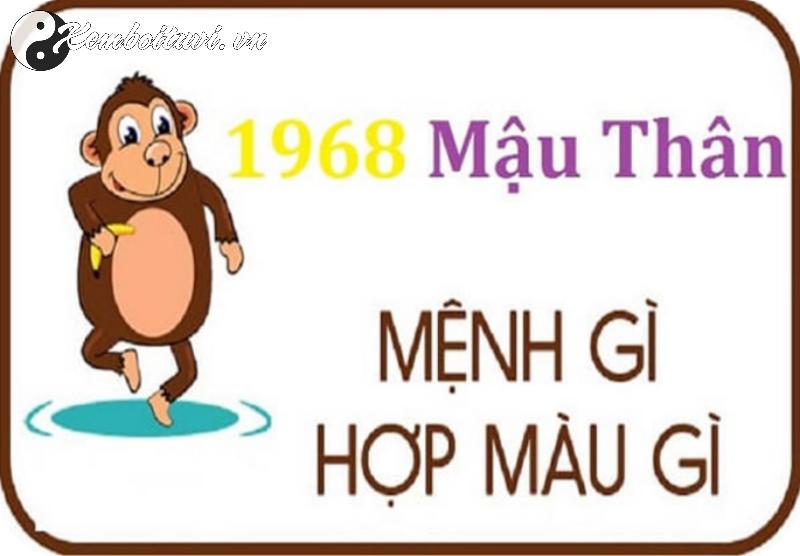 Sinh Năm 1968 Hợp Màu Gì? Bí Mật Phong Thủy Giúp Bạn Thịnh Vượng Cả Đời