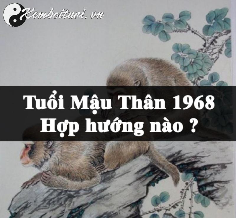 Sinh Năm 1968 Mậu Thân Mệnh Gì? Vận Mệnh Tuổi Khỉ Có Gì Đặc Biệt