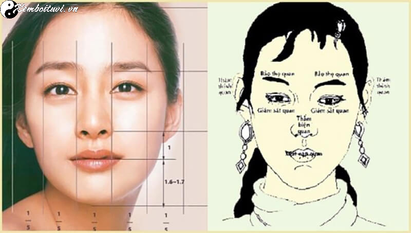 Sửa Mũi Phong Thủy: H&agrave;nh Tr&igrave;nh Cải Thiện Vận Mệnh Qua Thẩm Mỹ Khu&ocirc;n Mặt