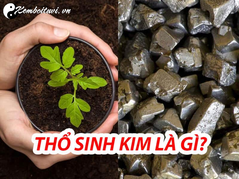 Thổ Sinh Kim: Mối Quan Hệ Tương Sinh Trong Ngũ Hành