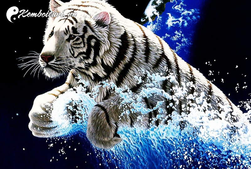 Vật Phẩm Phong Thủy Cho Người Tuổi Dần - B&iacute; Quyết Khai Vận V&agrave; Thu H&uacute;t T&agrave;i Lộc