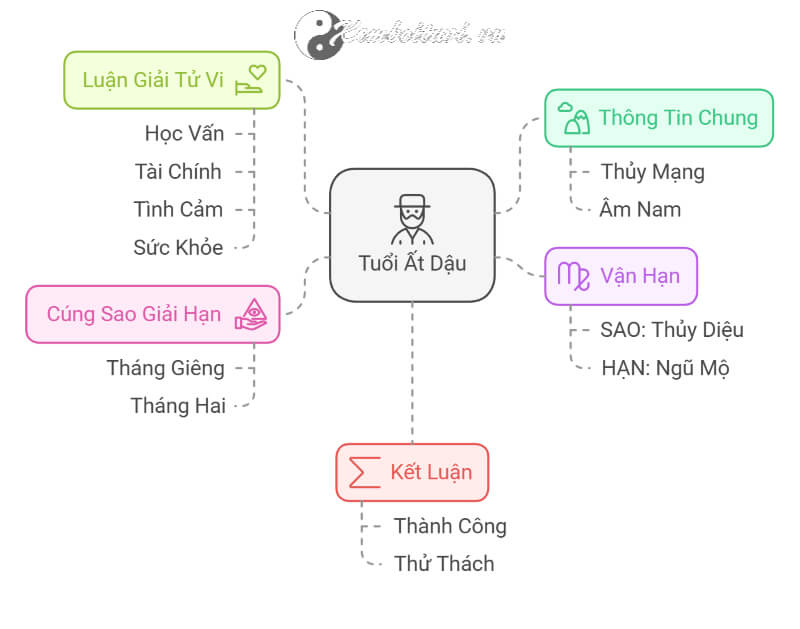 Tử vi Ất Dậu 2025 nam mạng