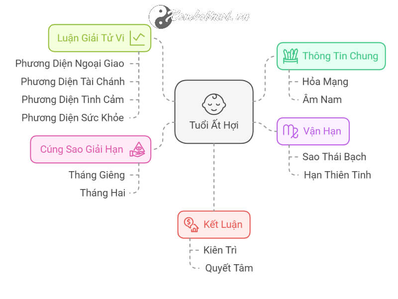 Tử vi Ất Hợi 2025 nam mạng