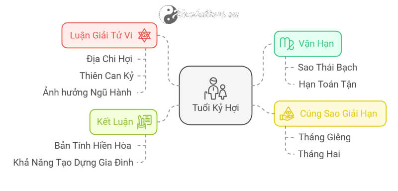 Tử vi Kỷ Hợi 2025 nam mạng