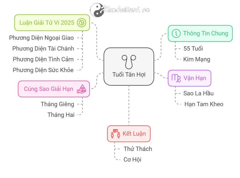 Tử vi Tân Hợi 2025 nam mạng